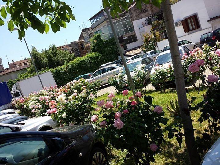 Hotel Jolly Castrovillari Buitenkant foto